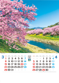 �J�����_�[1