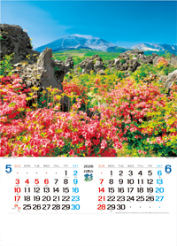 �J�����_�[2
