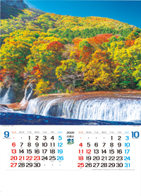 �J�����_�[5